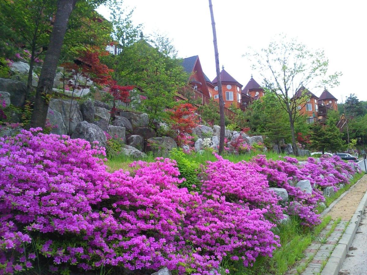 숲속의 요정 호텔 평창 외부 사진